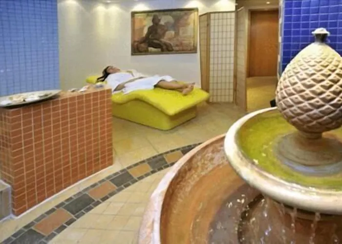 浴疗公园酒店 舍纳贝克