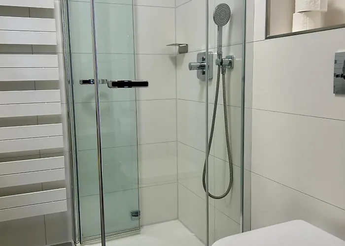 酒店 浴疗公园酒店 舍纳贝克