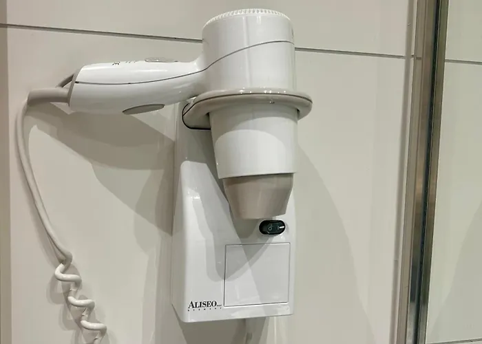 酒店 浴疗公园酒店 4*