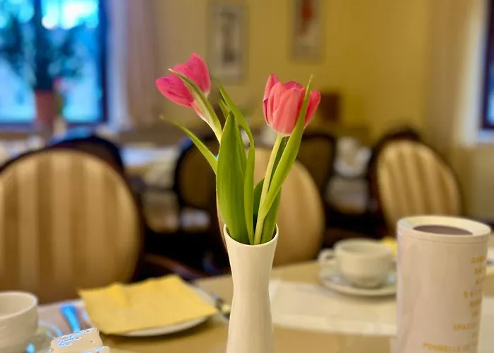 酒店 浴疗公园酒店