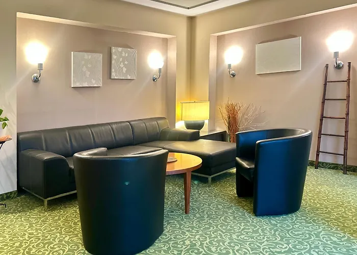 浴疗公园酒店 舍纳贝克