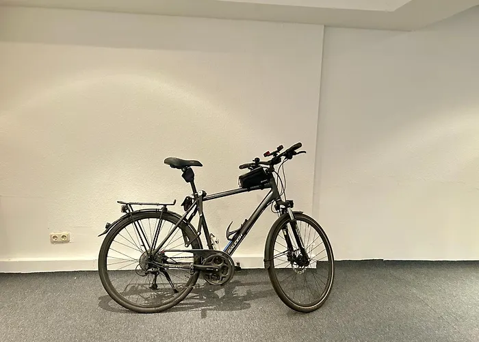 浴疗公园酒店 酒店 舍纳贝克